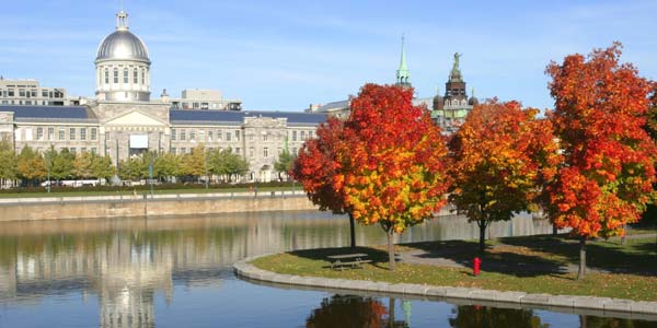 Montreal - Satavarma suomalainen
