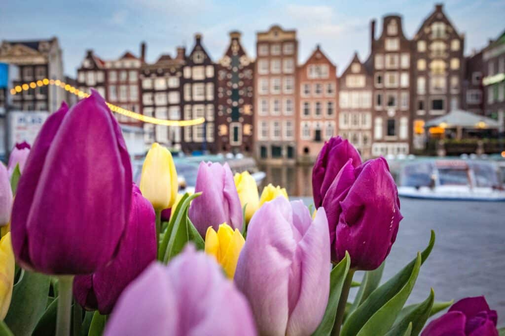 Amsterdam on loistava kaupunkikohde toukokuulle