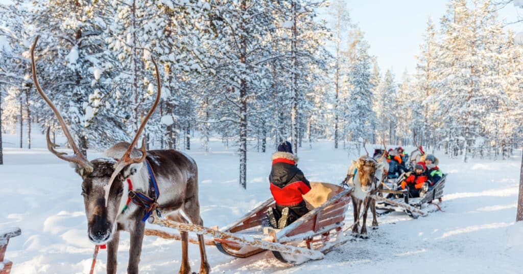 Group flights to Lapland to see reindeer
