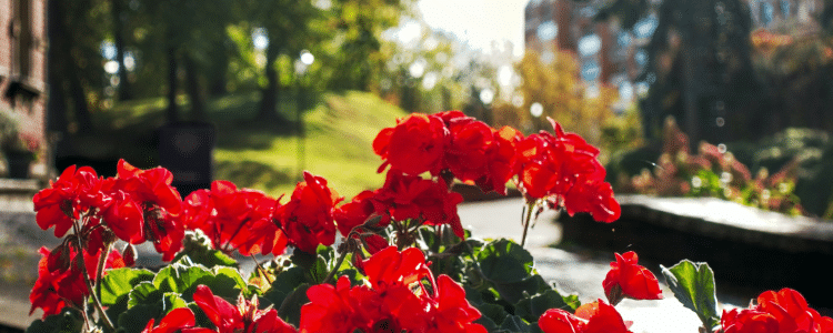 Pääsiäisen matkat 2026 - Satavarma suomalainen